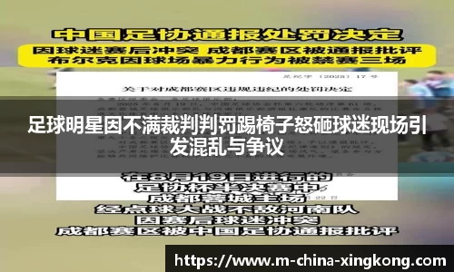 足球明星因不满裁判判罚踢椅子怒砸球迷现场引发混乱与争议
